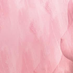 Hifas da Terra évalue l'impact d'un produit naturel sur le cancer du sein dans le cadre d'un essai clinique mené par l'Institut de Recherche sur la Santé de Galicia Sur