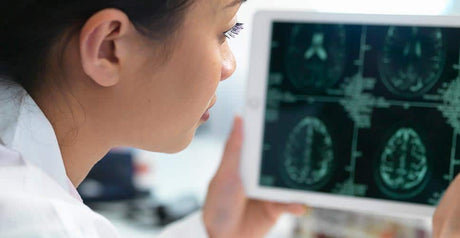 AI-VIDDA: i funghi di Hifas da Terra e l’IA alleati in un trial clinico pionieristico sull’Alzheimer precoce