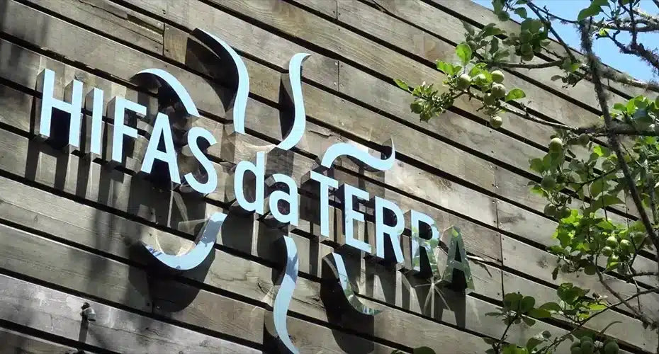 25 Anni di leadership nella ricerca sui funghi per migliorare la salute