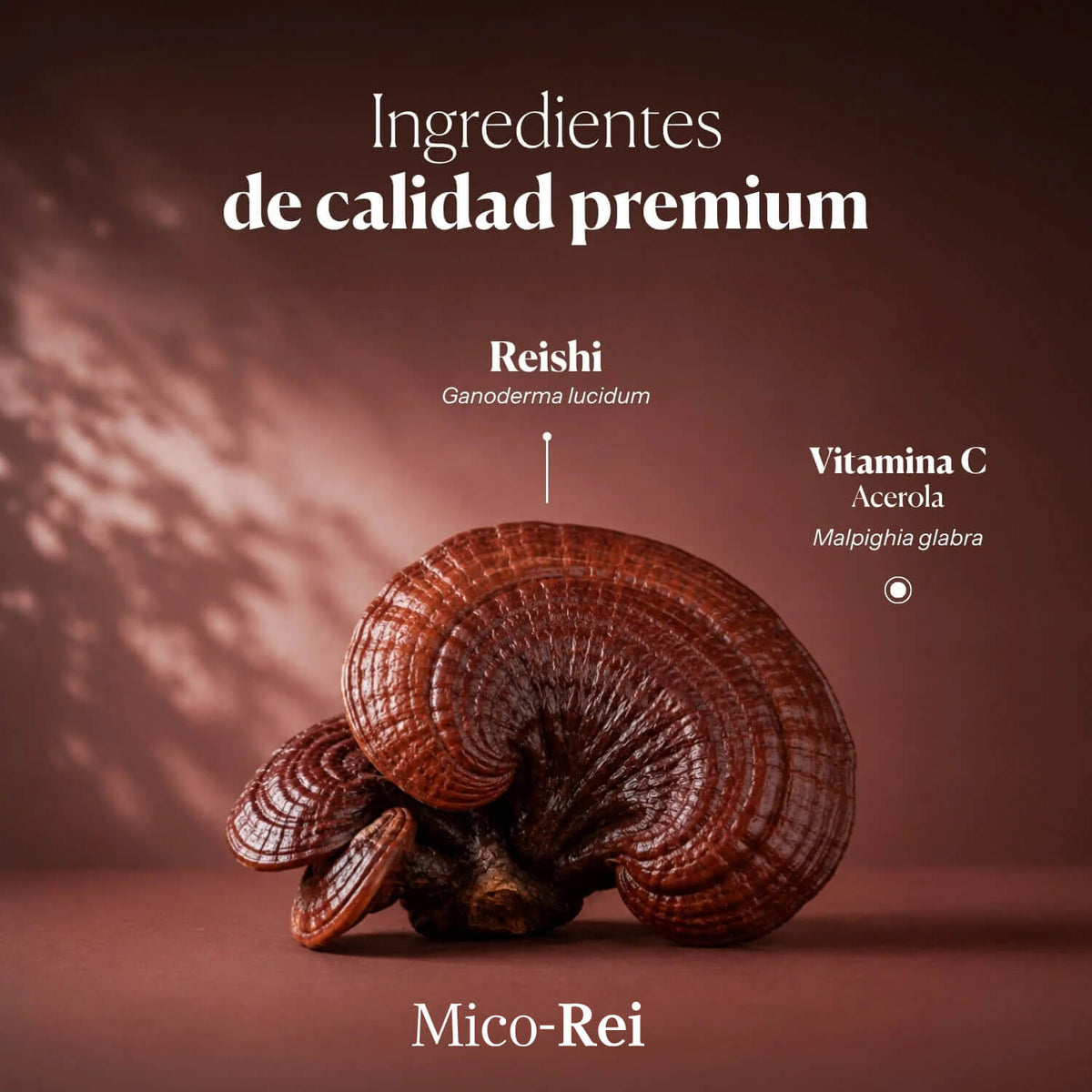 ESSENTIALS DUO: Mico-Rei + Mico-Leo