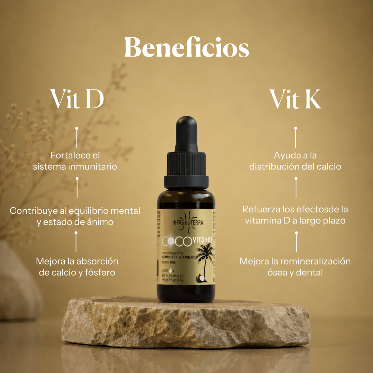 Beneficios de CocoVit D+K2: vitaminas D3 y K2 líquidas | Hifas da Terra