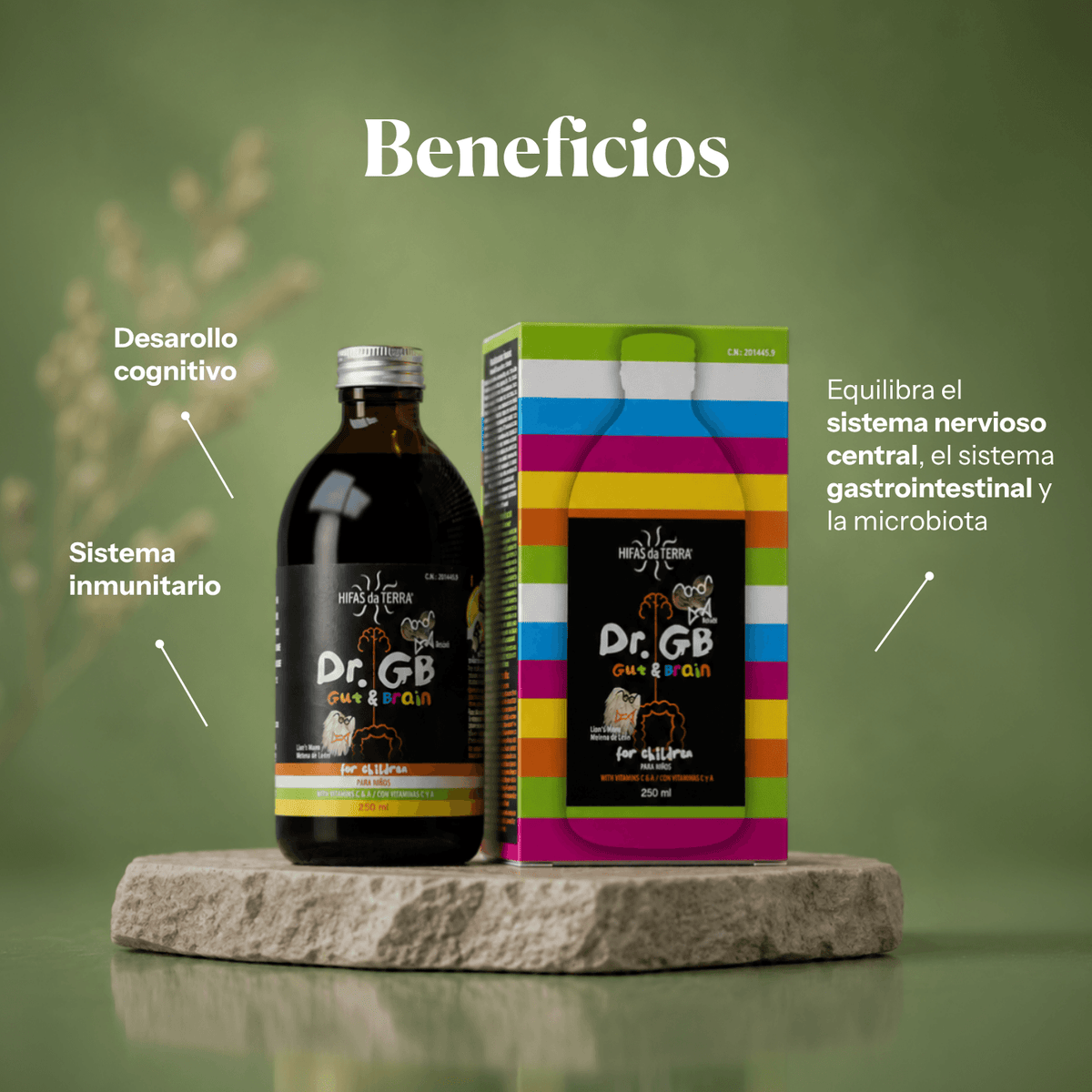 Beneficios de Dr. GB (Gut & Brain): jarabe con Reishi, Melena de león y prebióticos | Hifas da Terra