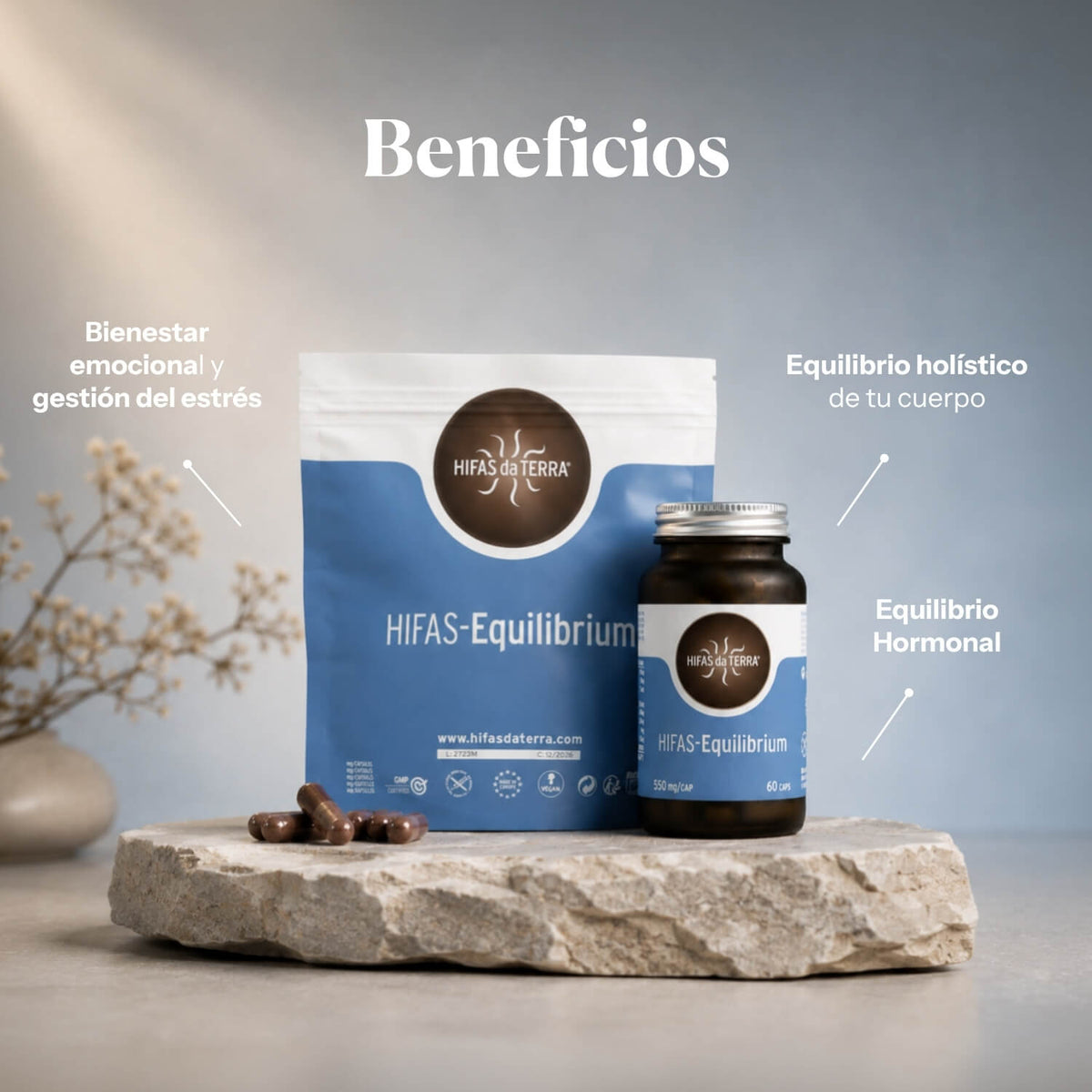 Beneficios de Hifas-Equilibrium: extractos puros de Reishi, Melena de león y Cordyceps | Hifas da Terra