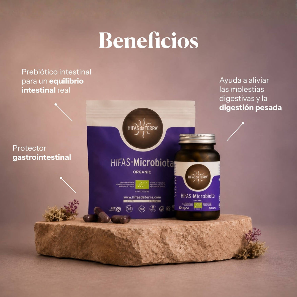 Beneficios de Hifas-Microbiota: prebióticos naturales para el bienestar digestivo | Hifas da Terra