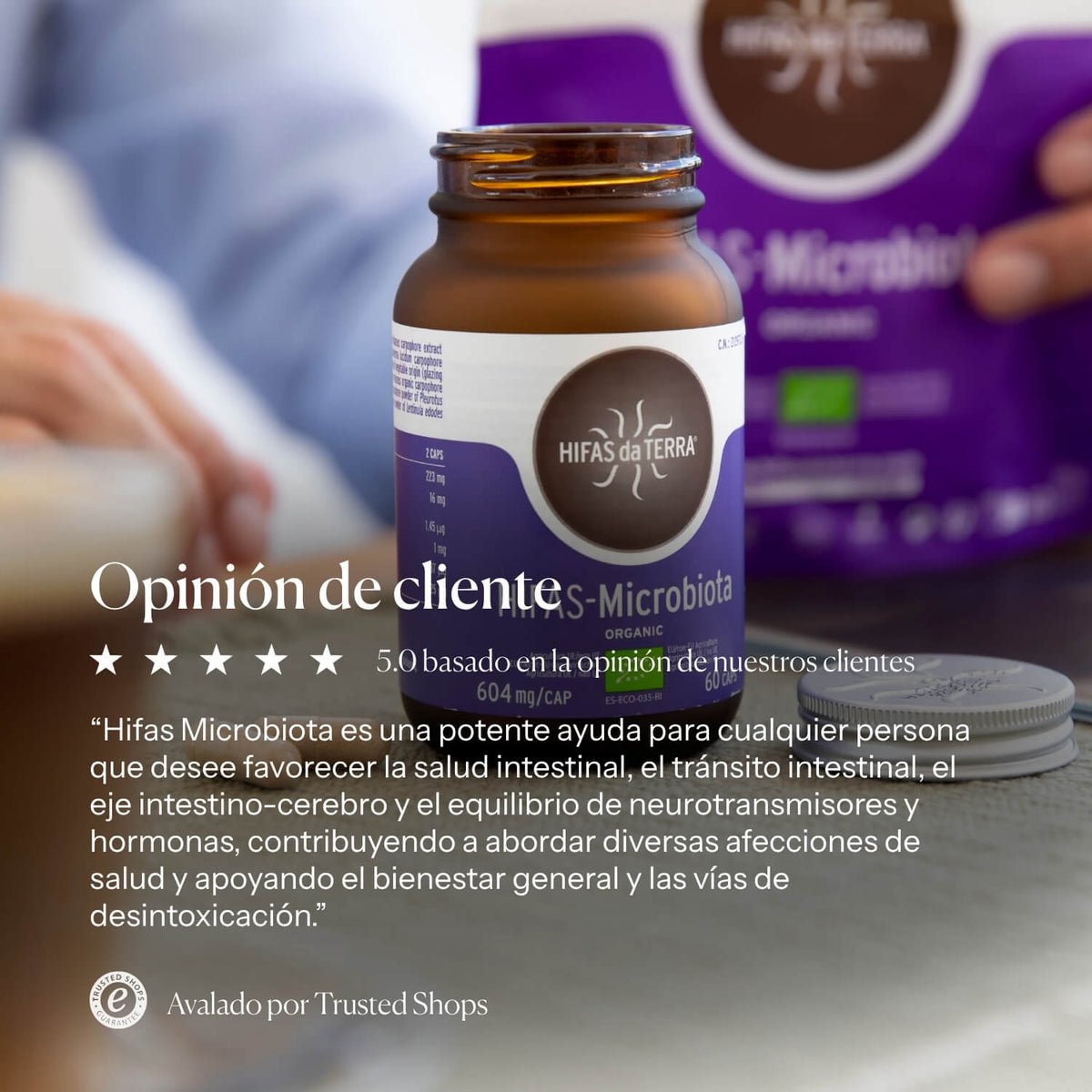 Información nutricional de Hifas-Microbiota | Hifas da Terra