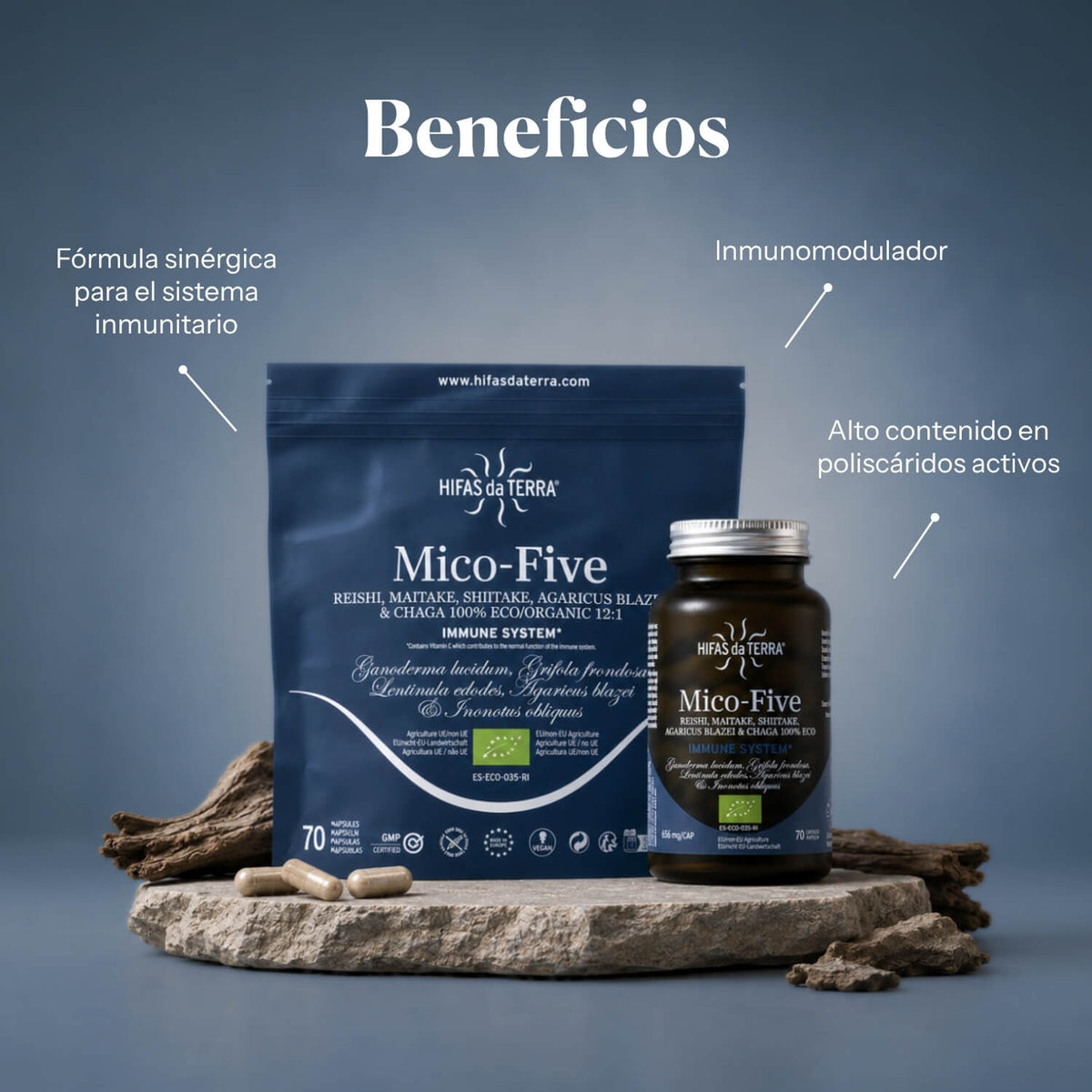 Mico Five (Chaga, Reishi, Maitake, Shiitake, Sun mushroom) Capsules