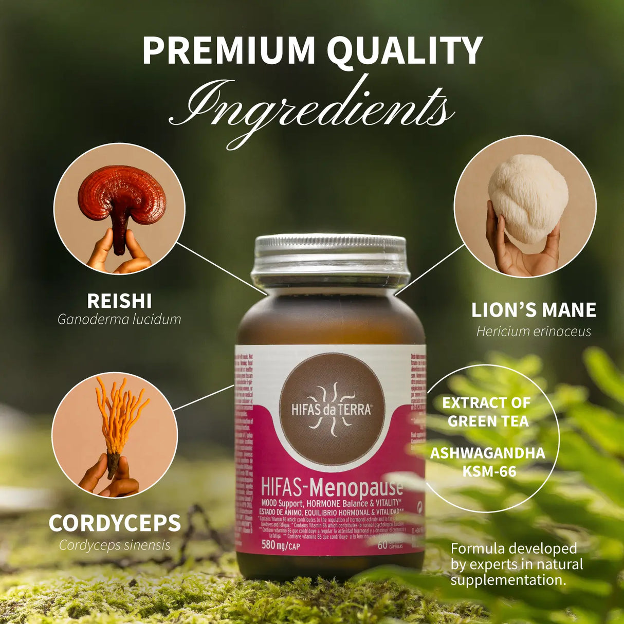 Hifas-Menopause (Reishi, Cordyceps, Lion's Mane, Ashwaghanda KSM 66 and Green Tea extract) capsules