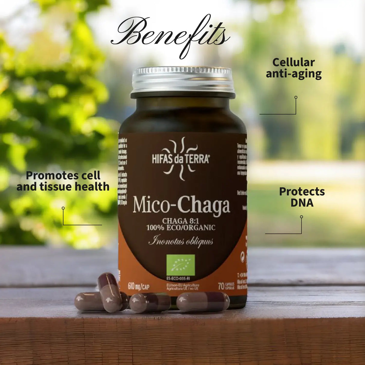 Mico Chaga (Chaga Extract) Capsules