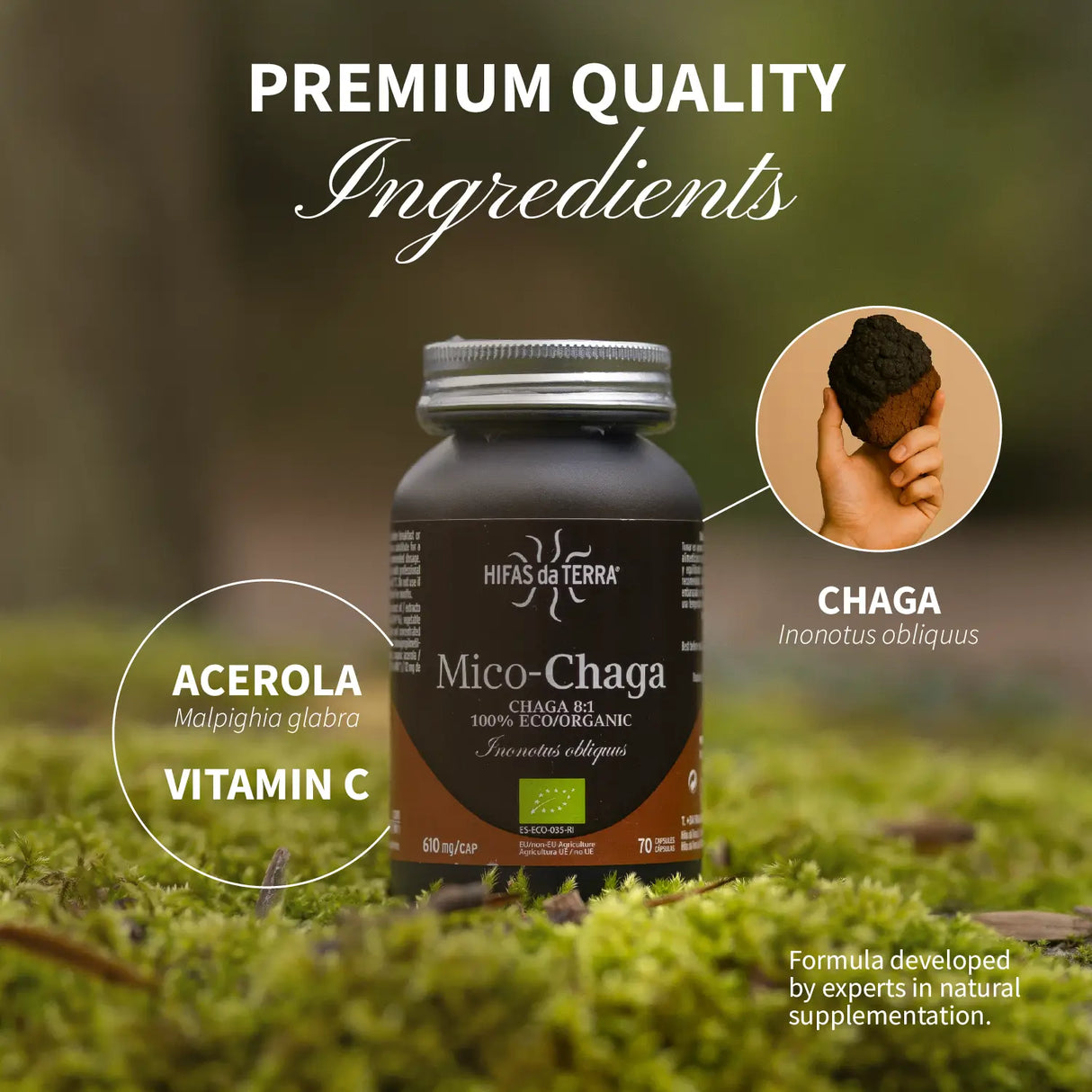 Mico Chaga (Chaga Extract) Capsules