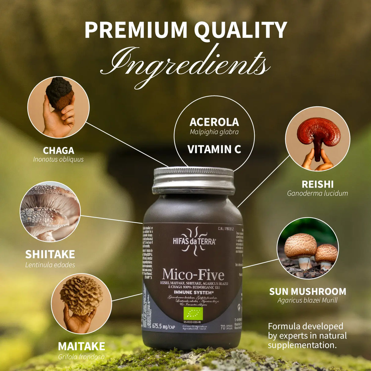 Mico Five (Chaga, Reishi, Maitake, Shiitake, Sun mushroom) Capsules