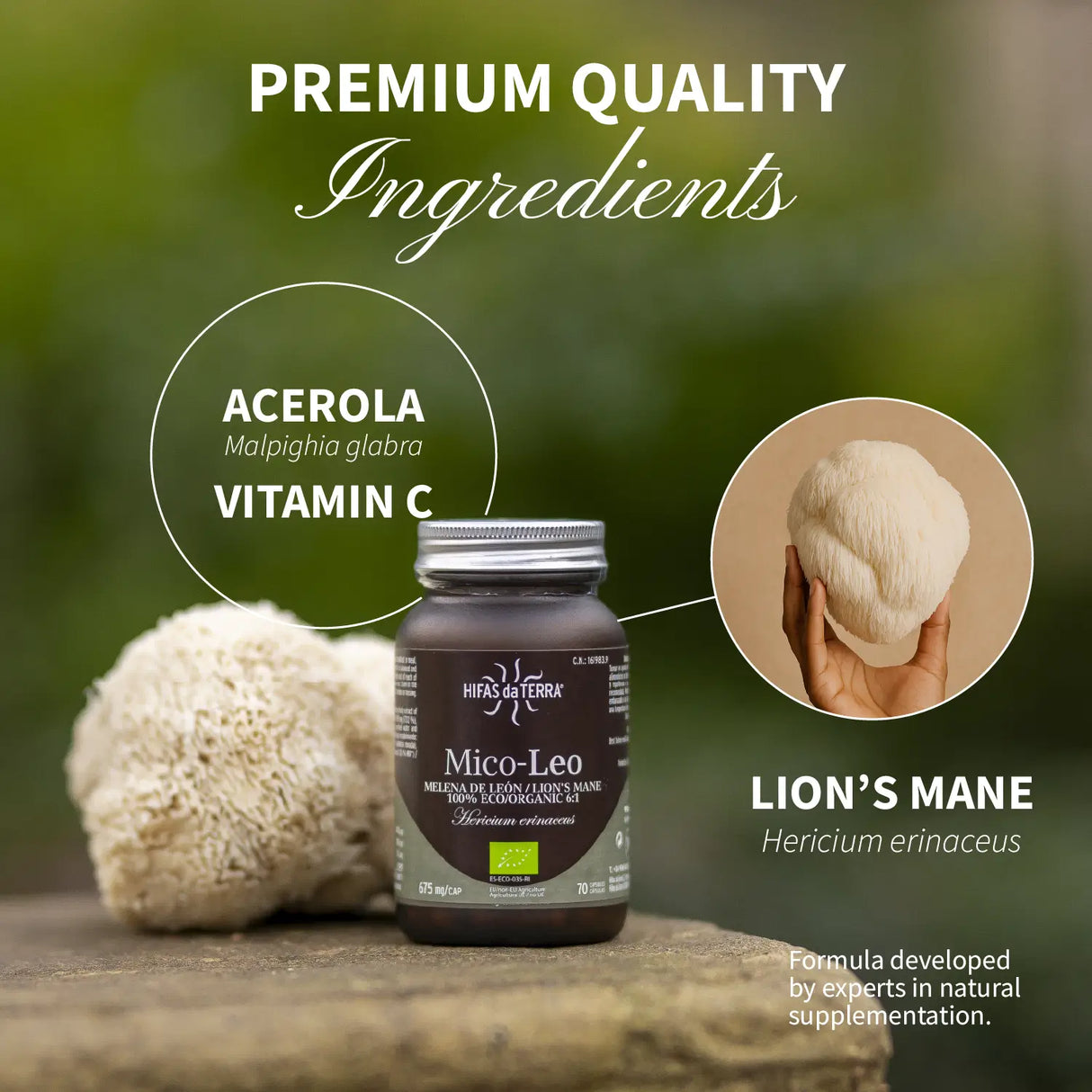 Mico Leo (Lion’s Mane Extract) Capsules