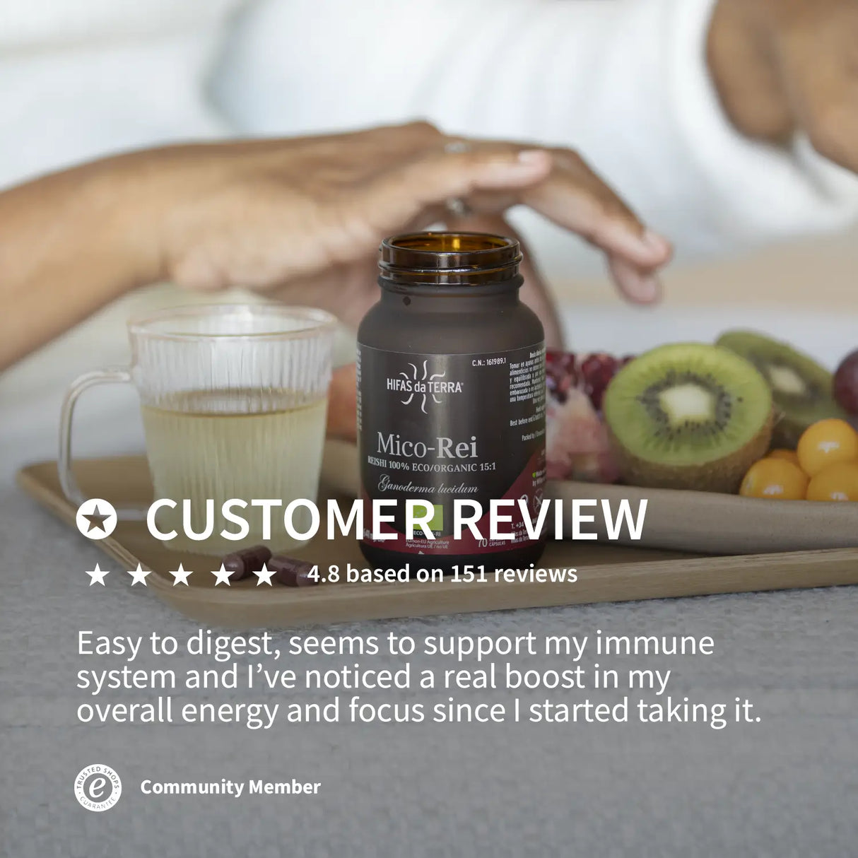 Mico Rei (Reishi extract) capsules