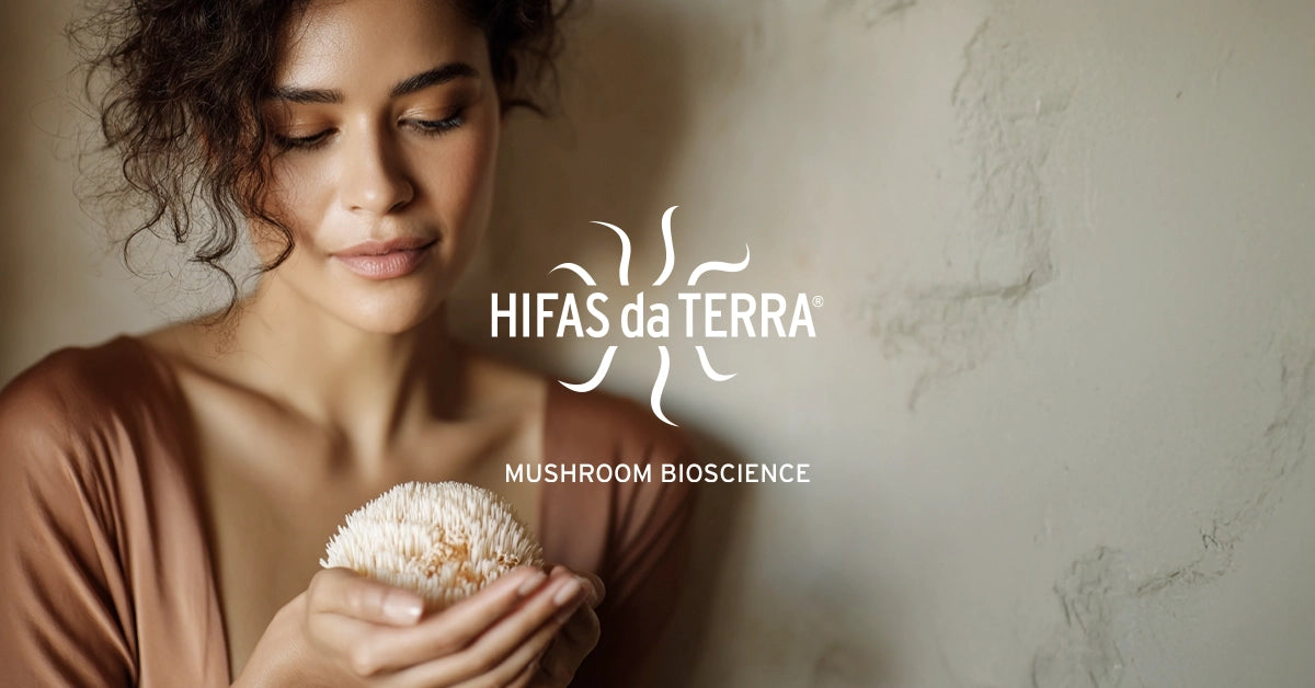 Hifas da Terra Premium Medicinal Mushroom Supplements