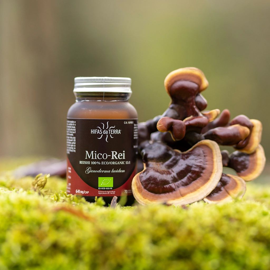 Mico Rei (Reishi extract) capsules