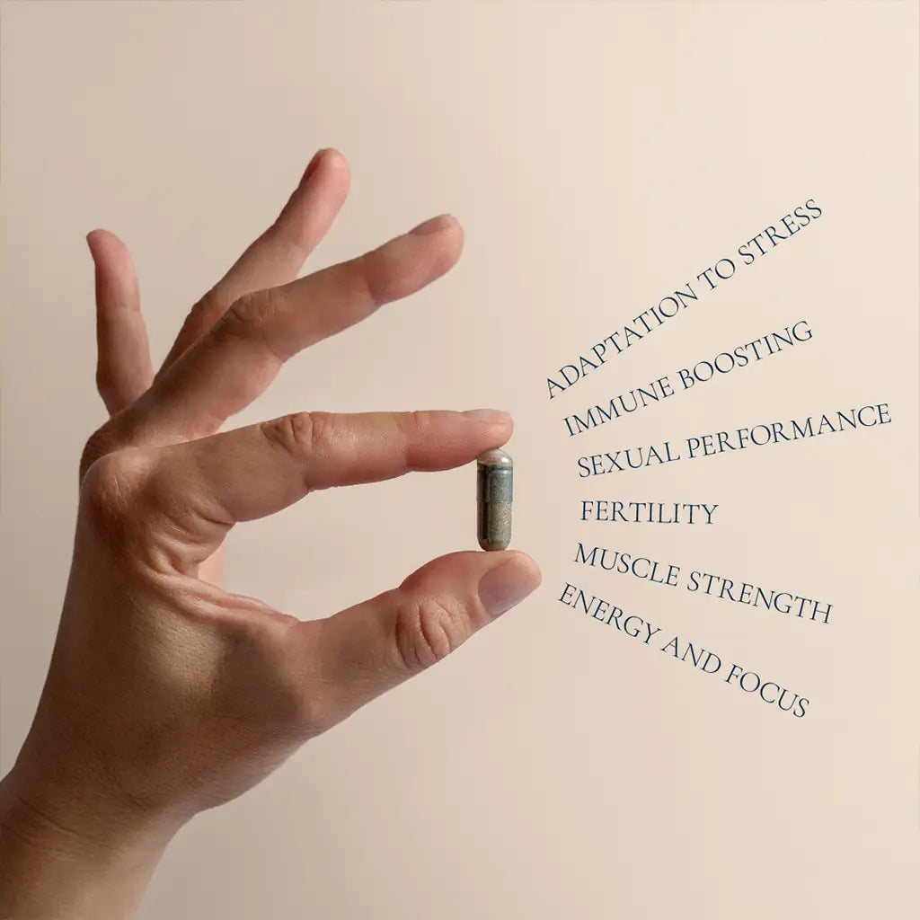 Optimum Men - Daily Support for Men