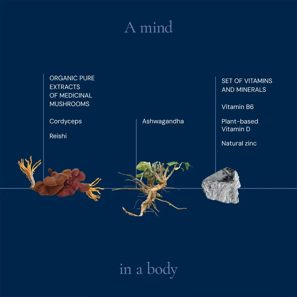 Optimum Men - Daily Support for Men