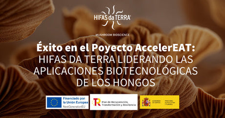 El Proyecto AccelerEAT termina su implementación con resultados trascendentales para Hifas da Terra