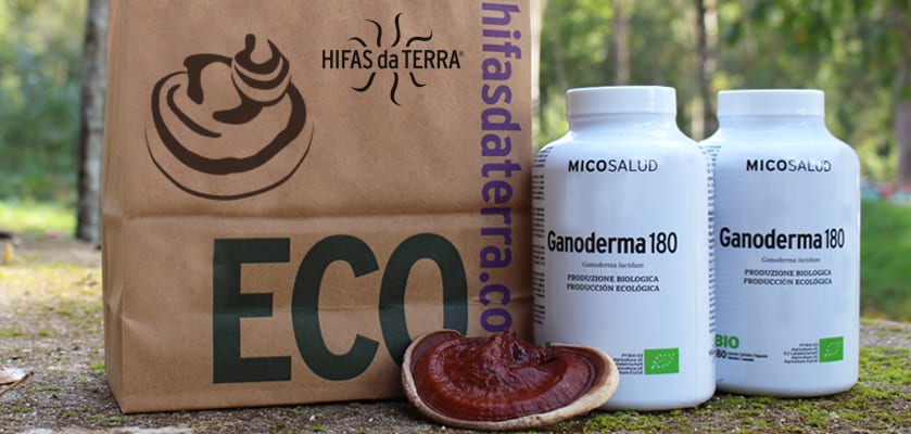 Ganoderma 180, el nuevo complemento a base de Reishi (Ganoderma lucidum)