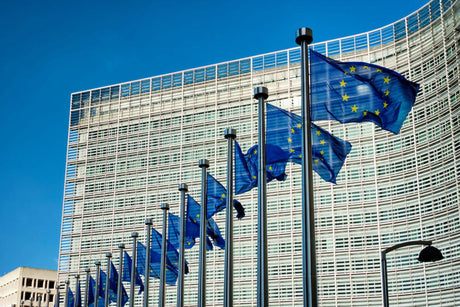 Imprescindibles sobre Novel Food en la Unión Europea