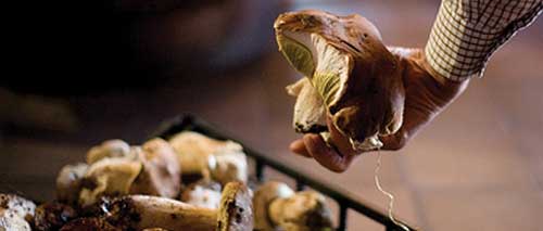 2 Recetas Navideñas con Setas para Servir como Platos Principales