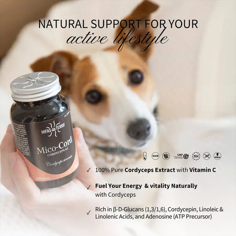 Mico-Cord Pure Cordyceps fungus extract in capsules