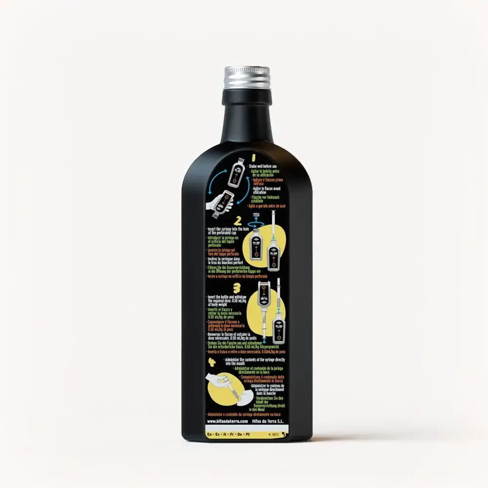 Dr. GB (Gut & Brain) Syrup with Reishi, Lion's Mane, Prebiotics, and Vitamins C and A