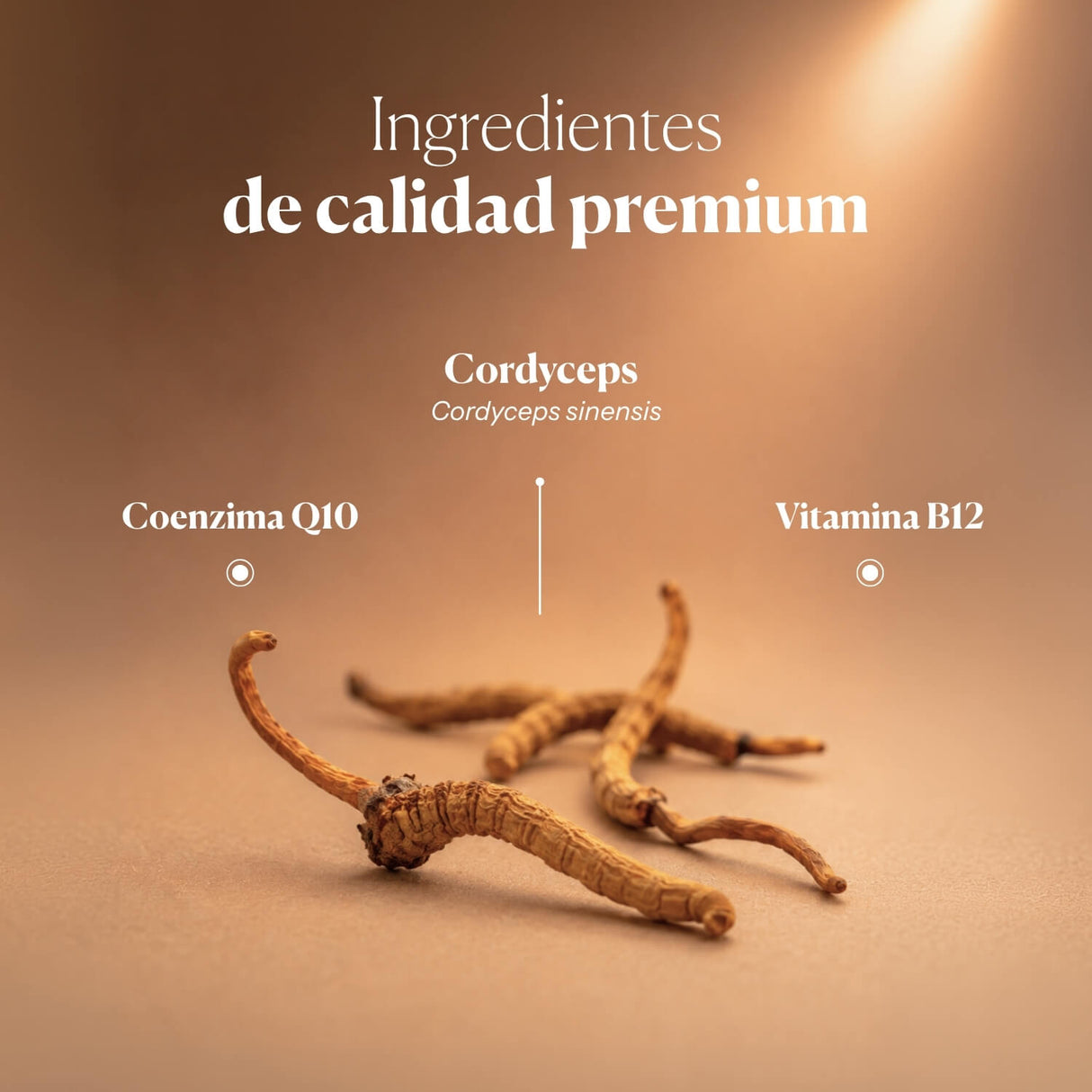 Hifas-Vitality (Cordyceps extract) Energy and Fatigue
