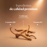 Hifas-Vitality (Cordyceps extract) Energy and Fatigue