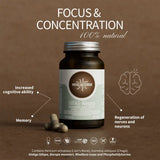 Hifas-Neuro Memory and Concentration