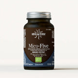 Mico-Five Pure extracts from Reishi, Shiitake, Maitake, Sun and Chaga Mushrooms