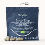 Mico-Five Pure extracts from Reishi, Shiitake, Maitake, Sun and Chaga Mushrooms
