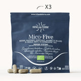 Mico-Five Pure extracts from Reishi, Shiitake, Maitake, Sun and Chaga Mushrooms