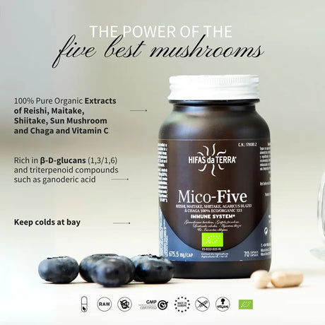 Mico-Five Pure extracts from Reishi, Shiitake, Maitake, Sun and Chaga Mushrooms