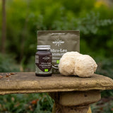 Pure Organic Lion's Mane Extract