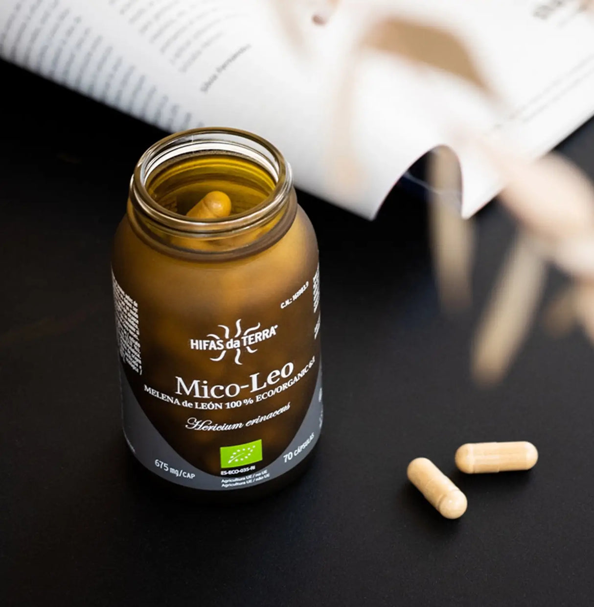 Pure Organic Lion's Mane Extract