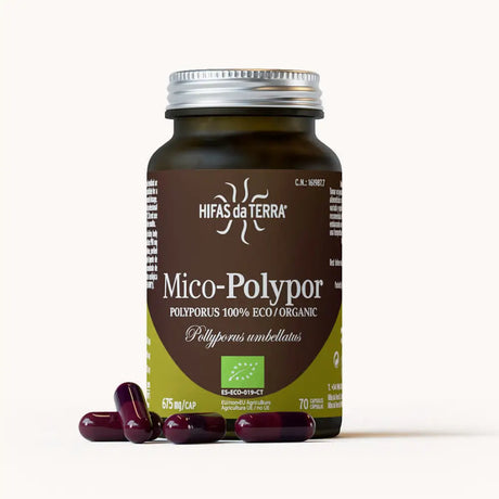 Mico-Polypor Pure Organic Polyporus