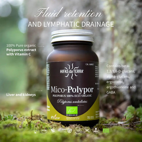Mico-Polypor Pure Organic Polyporus