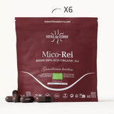 Mico Rei (Reishi extract) capsules