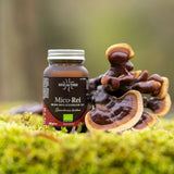 Mico-Rei Pure Organic Extract of Reishi