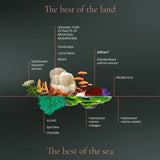 Optimum Nutricosmetic