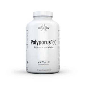 Polyporus 180 - Hifas da Terra