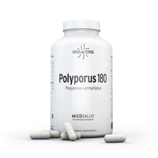 Polyporus 180 - Hifas da Terra