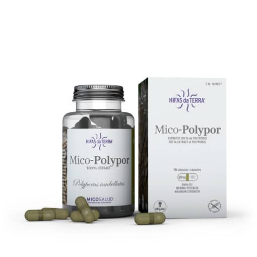 Mico-Polyporus 100% organic extract of Polyporus umbellatus Hifas da Terra