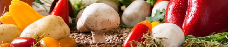 mushrooms-prebiotic-food